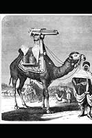 American Terrorist Manifesto B0F626HHJZ Book Cover