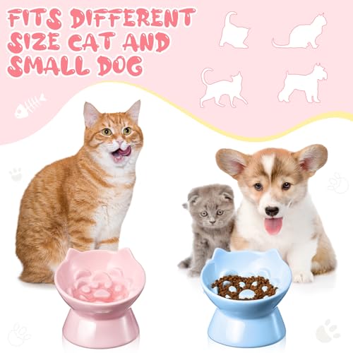 image for Funnymoom 2 Pcs Ceramic Slow Feeder Raised Cat Bowl Elevated Cat Food 