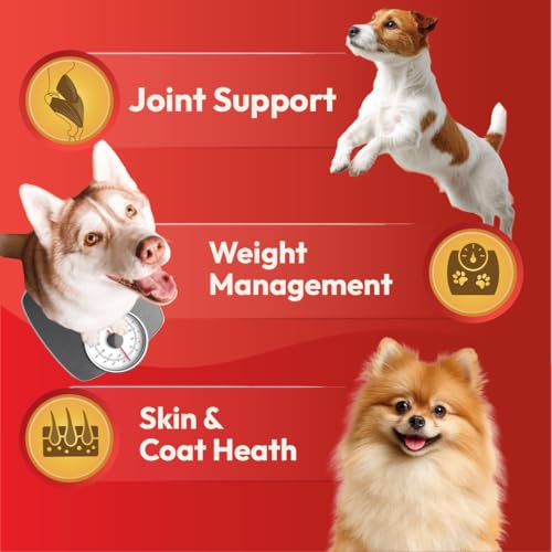 Image of DatGud Adult Dry Dog Food, Chicken & Brown Rice, 6 kg(3 kg + 3 kg Free) | Complete & Balanced Nutrition | Weight Management Support | Glucosamine for Joints | Easy Digestion | Healthy Skin & Coat