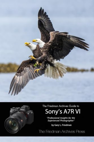 The Friedman Archives Guide to Sony's A7R VI