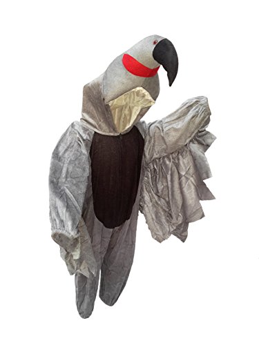 Image of Kaku Fancy Dresses Birds Costume for Kids