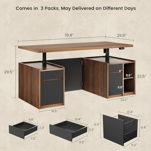 Executive Standing Desk with Drawers & Storage, 71'' Adjustable Electric Stand Up Wood Desk with Privacy Panel, AC/USB, File Cabinet, Large One-Piece Destop for Home Office, Black Walnut - Thumbnail 2
