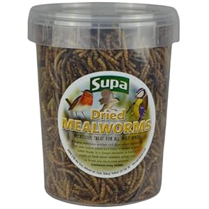 Supa Dried Mealworms for Wild Birds, 1 Litre Bucket High Energy Protein Rich Treat For Garden Birds Attract More Birds To Your Garden Quality Wild Bird Food.