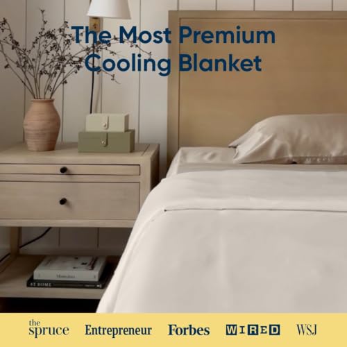 Vesta Silk-Filled Summer Lightweight Comforter, Washable Cooling Blanket for Hot Sleepers, 100% Long Staple Mulberry Silk with 100% Bamboo Shell, Moisture & Thermal Control (King, Ivory Slate)