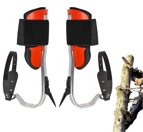 Griffes d'arbre pour élagage et cueillette