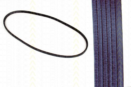 TRISCAN 8640 601025 Cinghia servizi nero