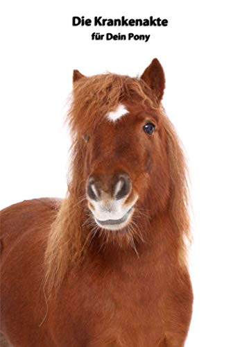Sable Island Pony