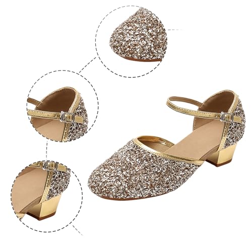 IWIHMIV Girls Dress Shoes Mary Jane Shoes for Girls Low Heel Princess Hook and Loop Dress Shoes Party Wedding for Little3