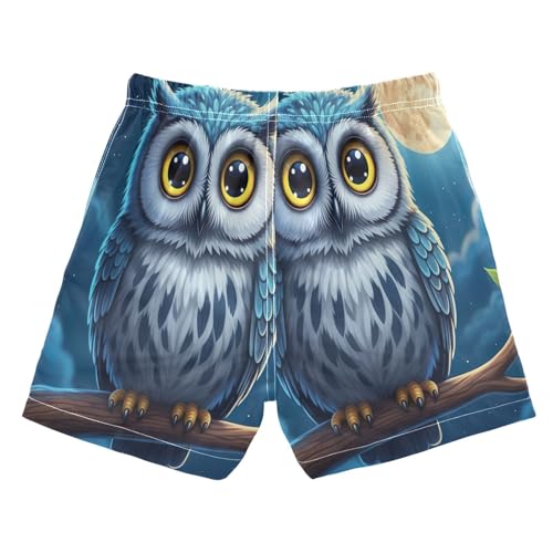 Swim Boy Shorts, Toddler Boy Swim 2t, Cute Owl Moon Light Blue2