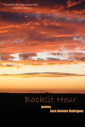 The Backlit Hour