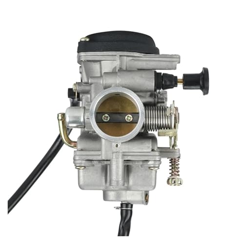 Carburateur 30 mm résolvant les problèmes de démarrage QingQi 250