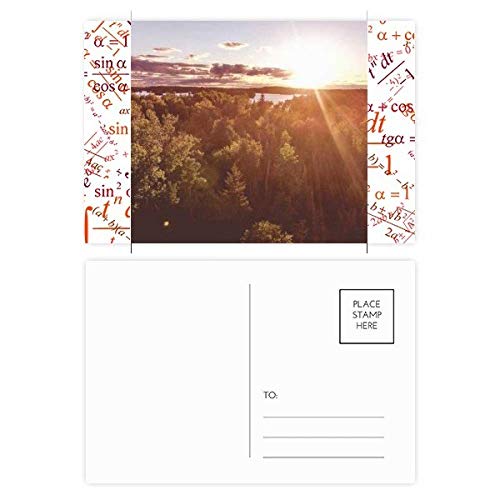 Cartes postales merci motif soleil et forêt sciences pour offrir un mot personnalisé unique