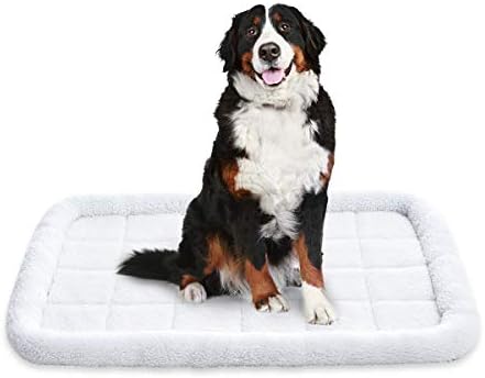 Amazon Basics 35-Inch Padded Pet Bolster Bed, White, 35.04"L x 22.05"W x 2.76"H