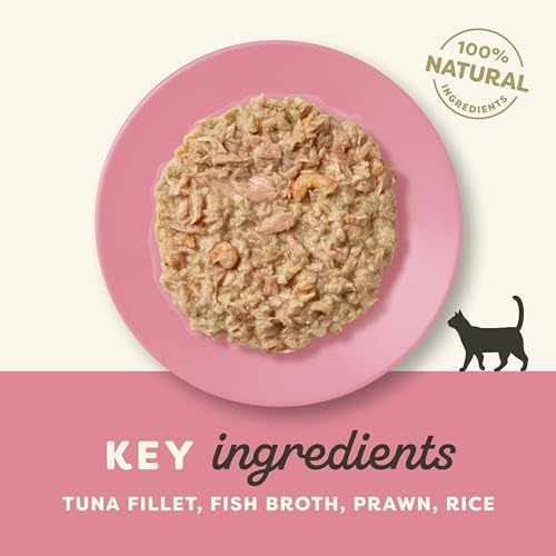Applaws Premium Natural Katzenfutter Nass, Thunfischfilet mit pazifischer Garnele in Brühe 70g Portionsbeutel (12x70g )