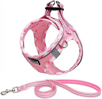 Elevant Step-in Dog Harness and Lead Set, Soft Mesh Adjustable Reflective Breathable No Pull Puppy Dog Vest Harnesses for Small Medium Dogs, Cats, Puppies (XXS, Pink)
