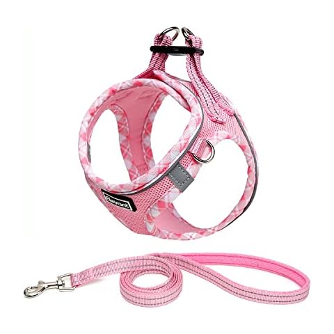Elevant Step-in Dog Harness and Lead Set, Soft Mesh Adjustable Reflective Breathable No Pull Puppy Dog Vest Harnesses for Small Medium Dogs, Cats, Puppies (S, Pink) Cover
