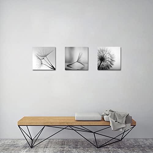 Tiuauit 3 Pieces Black And White Canvas Wall Art Small Size Dandelion Picture Framed Artwork Flower Painting Prints For Kitchen Bedroom Living Room 12"X12"X3Pcs #TOP3