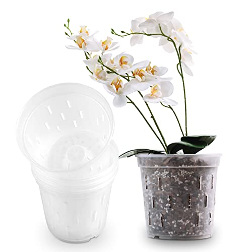 10 Best 10 Plastic Pot For Orchids Of 2022 of 2022