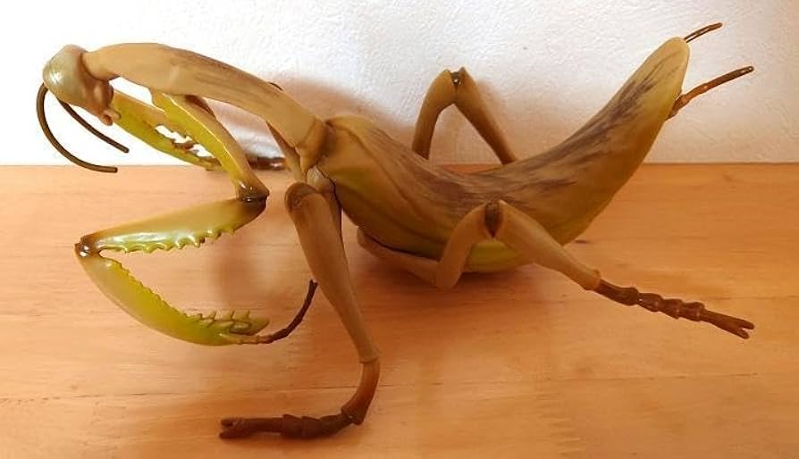 カマキリ　昆虫　フィギュア　BIG　大きい　オオカマキリ　2点 Amazon.co.jp: オオカマキリ BIG カマキリ 昆虫 フィギュア MEGA