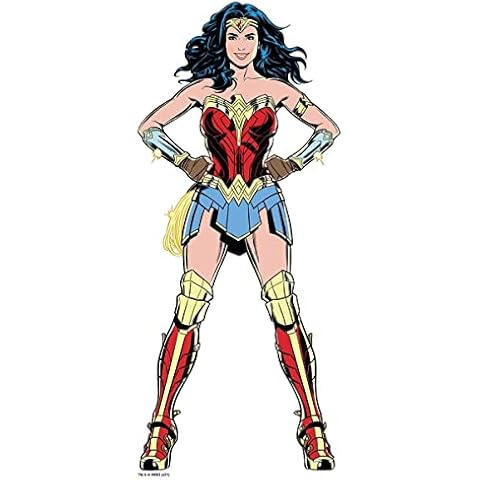 Kismet Decals WW84 Hero Pose 1 Wall Sticker Cover