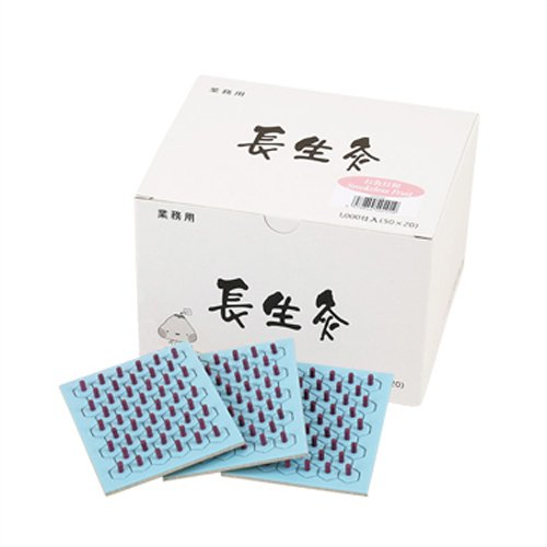 山正(YAMASHO) 長生灸 お灸日和(おきゅうびより) フルーツ 1000壮 (調熱絆5シート付属)