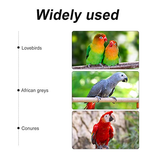 ULTECHNOVO Sapo Animal de Estimação Pássaro Com Capuz Roupas de Inverno Natal Papagaio Traje de Sapo