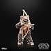 STAR WARS The Black Series Wicket, Return of The Jedi 40th Anniversary 6-Inch Collectible Action Figures, Ages 4 and Up