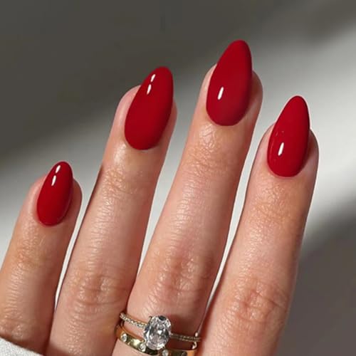 A[h^ ~fBA 24{ Cbh t``bv J[WF  i`o[KfB O[IlC tJo[ ANI[o Ə̎qp bh