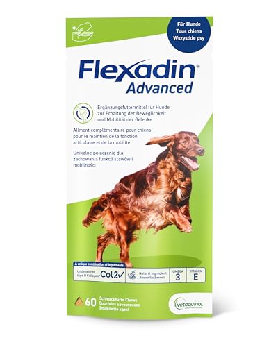 Vetoquinol Flexadin Advanced für Hunde | Doppelpack | 2 x 60 Chews | Ergänzungsfuttermittel zur Unterstützung der Gelenkgesundheit | Mit immunaktivem Kollagen, Omega-3 & Vitamin E