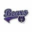 Central Arkansas Bears Distressed