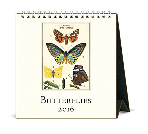 Cavallini Papers & Co CAL16-16 2016 Butterflies Desk Calendar