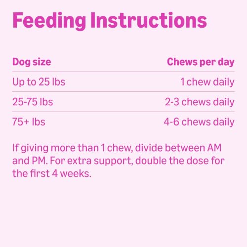 Image of Amazon Basics Dog Hip & Joint Daily Supplement Chews with Glucosamine, MSM, and Vitamin C, Duck Flavored, 60 Count, Packaging May Vary