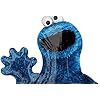 Sesame Street Cookie Monster 35 Balloon (Each)