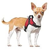 MASCRETTA Arnés / Pechera para Perro. No Daña el Cuello de tu Mascota. Excelente para Pasear. Collar Deportivo con Bandas de Luz Reflejantes para Cualquier Raza. Talla S, M, o G. (Pequeño, Rojo)