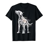 DogtastiQ