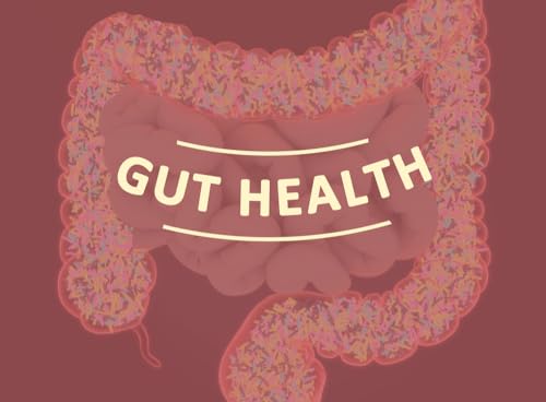 Personalized Gut Health Solutions (Updated - Sunny Jain not with company)