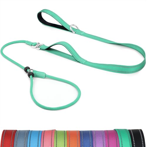 Erbine 6FT Anti-Tangle Slip Leash, No-Pull Slip Leads and Collar for Dogs with Double Padded Handle, Reflective Nylon Training Lead for Small Medium Dogs, Turquoise