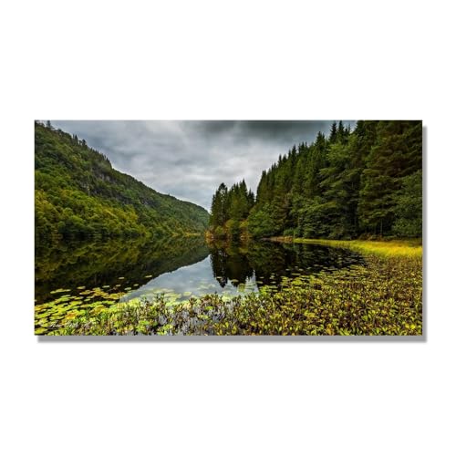 Tableau déco montagne forêt et eau verte 40x72cm toile seule pour salon