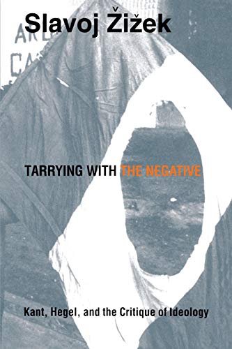 Tarrying with the Negative view 2