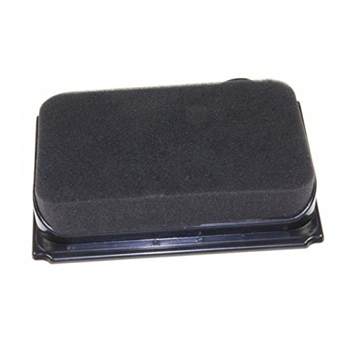 Rowenta RS-RT3732 - Micro filtro