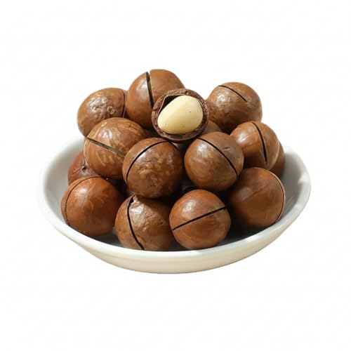 Roasted Macadamia Nuts In Shell with a Hint of Vanilla Flavour | 500g