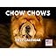 Chow Chow