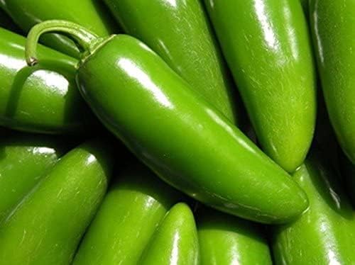 Miniatura 5 de Semillas gigantes de pimiento jalapeño (más de 45 semillas) enormes vainas, grandes rellenos, suaves