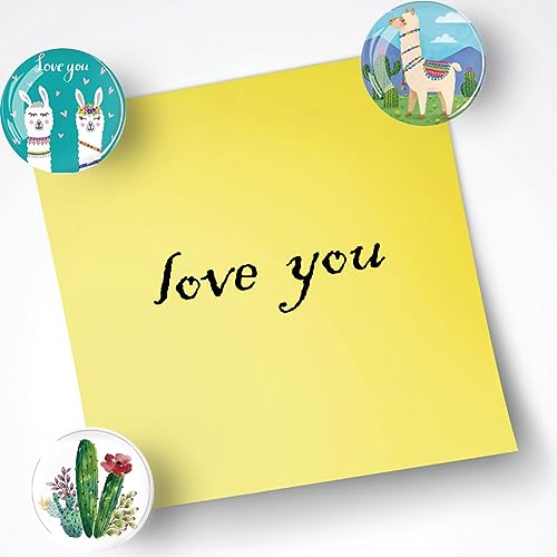 YayaCat 24Pcs 1.2in Round Crystal Glass Refrigerator Magnets,Strong & Non Scratch for Fridge,Locker,Office,Classroom & Kitchen Decor,Irresistibly Cute Alpaca & Cactus Design by YayaCat - Image 4