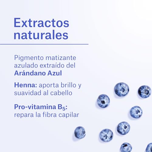 NaturVital - Mascarilla Silver Cabellos Blanco y Gris, Mascarilla Matizadora sin Sulfatos ni Parabenos, Neutraliza Tonos Amarillos y Rubios, Matizador de Pelo Gris, con Pigmento Azul, 300 ml