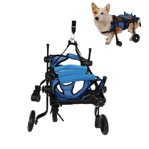 Fauteuil roulant pour chien handicapé et chat réglable à 4 roues