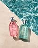 Tommy Hilfiger Tommy Poolside Edition Eau de Toilette 3.4 / 100ml Cítrico 3.5 Fl Oz (Paquete de 1) 8