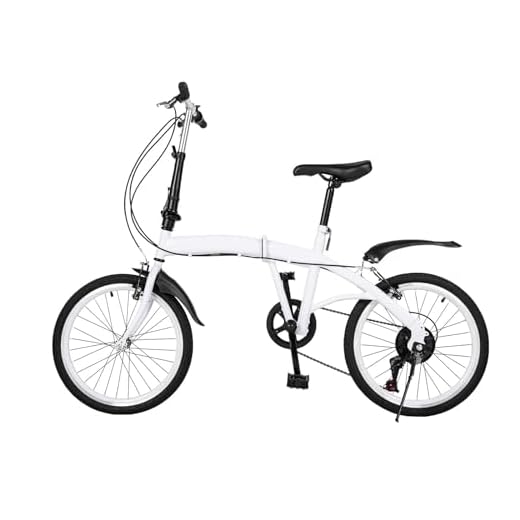 ARBGO Bicicleta plegable de 20 pulgadas, bicicleta plegable con guardabarros, asiento ajustable, freno de disco delantero y trasero, bicicleta plegable y portátil para niños y niñas, color blanco