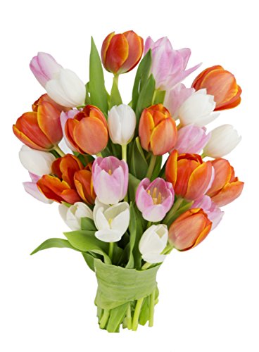 KaBloom-30 Assorted Tulip Bouquet,Flowers for Valentine, Mother's Day