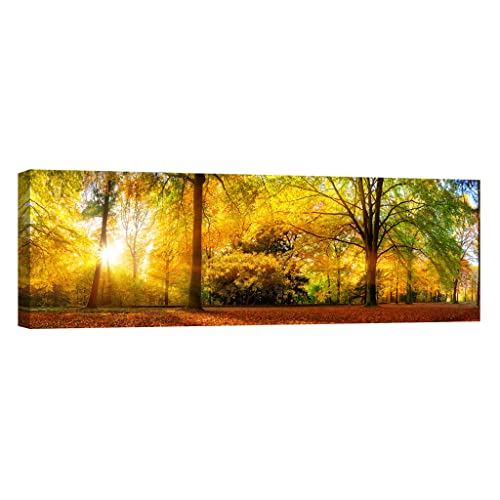Toile Nature DCL101-4 pour illuminer vos nuits sans électricité